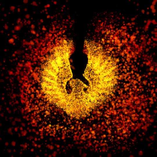Phoenix graphic